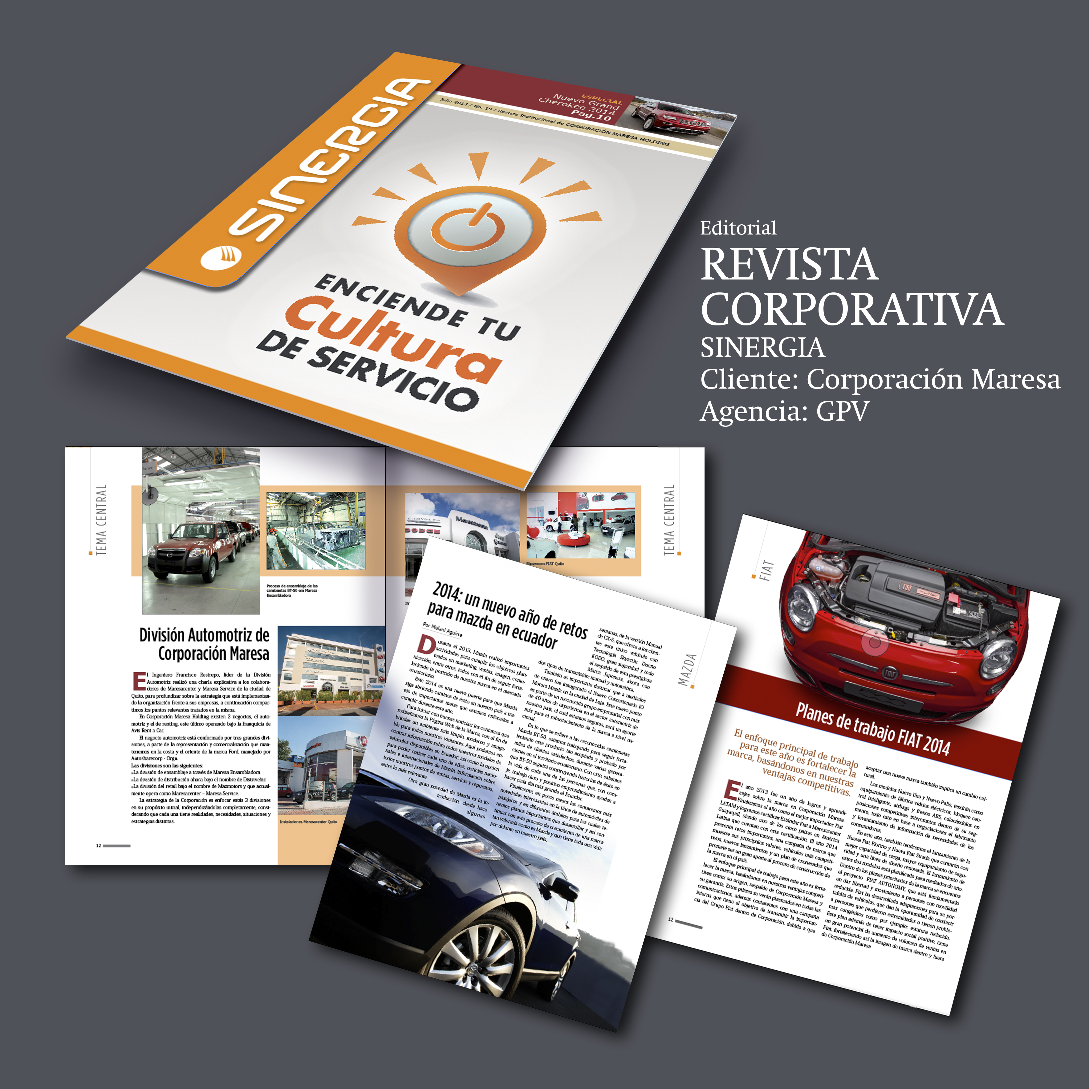 Revista Sinergia